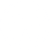 WordPress_light